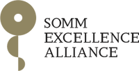 SO Logo